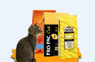 cat2_cat_korm.gif cat2_cat_korm.gif